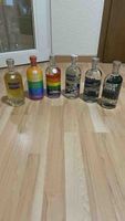 Absolut Vodka Flaschen 6 Stück verschiedene Editionen