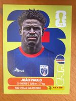 Panini CPV8