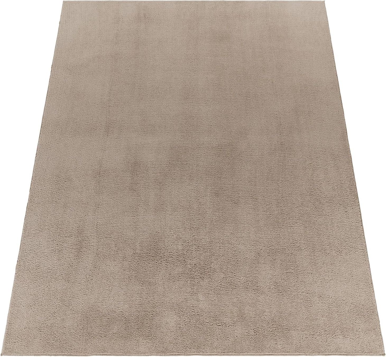 Tappeti: ANGEBOT ❌ Super Soft Teppich Taupe 240x340  NEU – Nuovo e nell'imballaggio originale da Bern venduto da Miraitrading 1