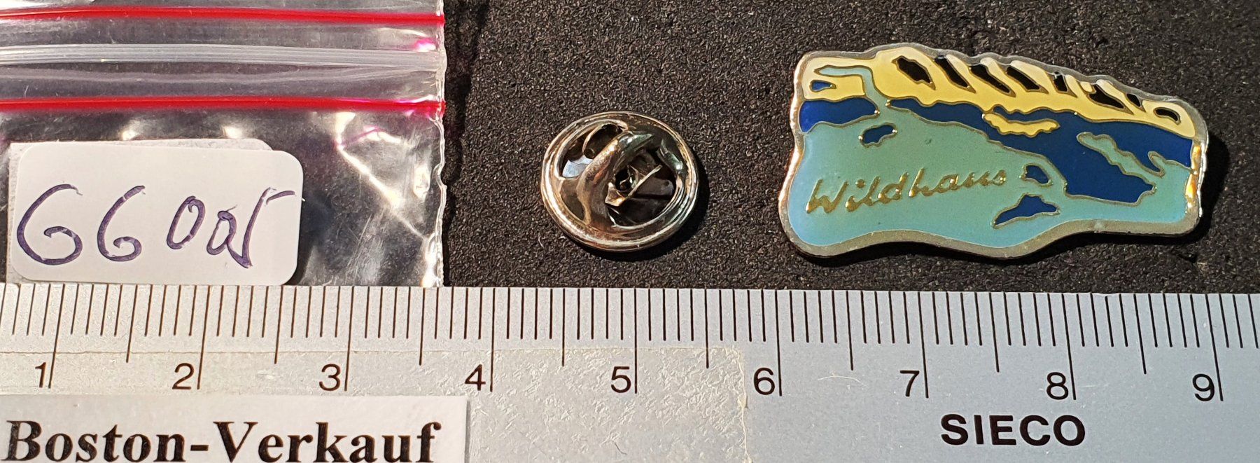 Plaketten & Abzeichen: GG005 - Pin Wildhaus – Gebraucht aus Reinach BL von Boston-Verkauf 1