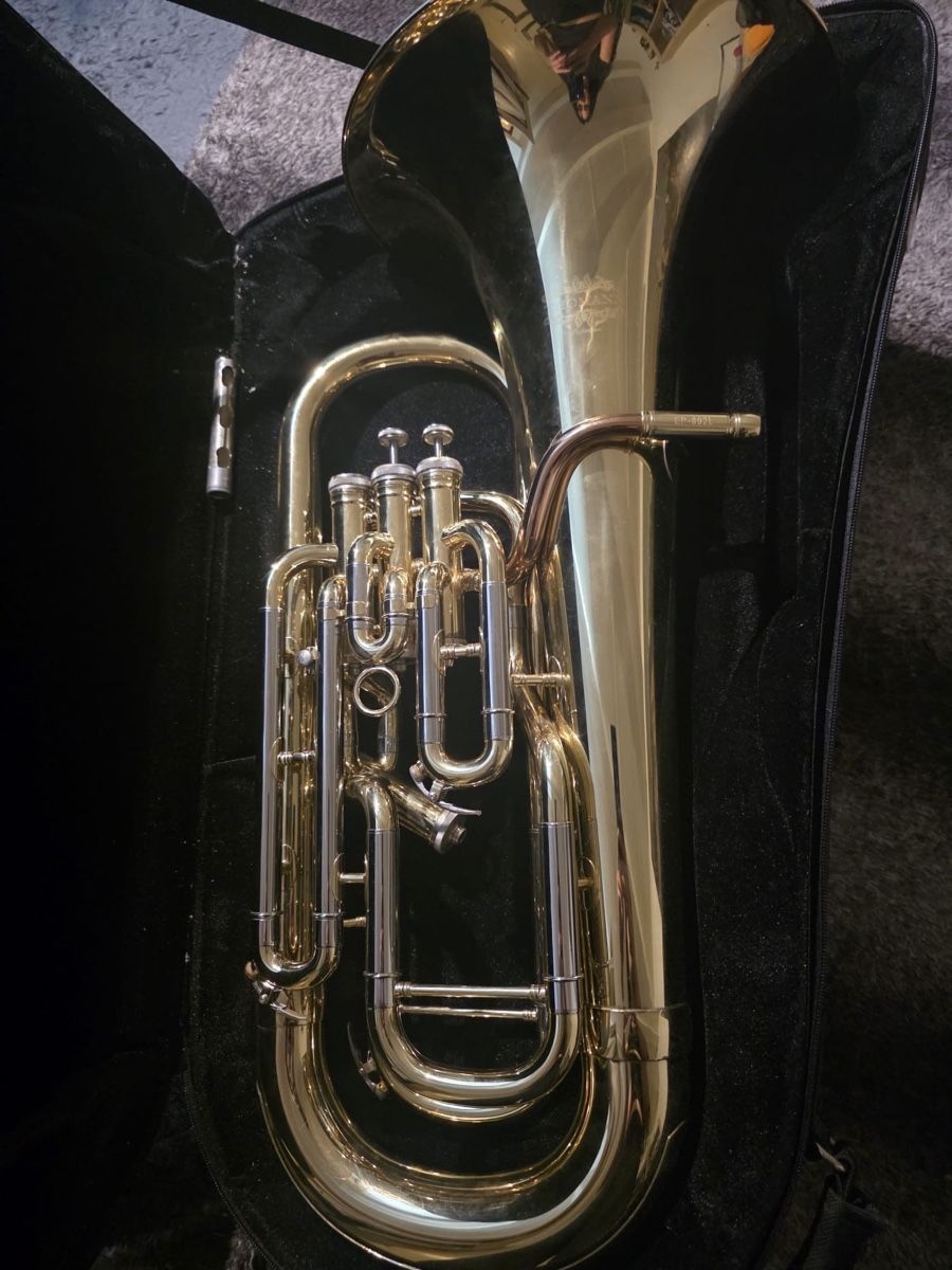 Thomann Strumenti musicali: Thoman strumänt – Usato da Frenkendorf venduto da cio_bk56 2