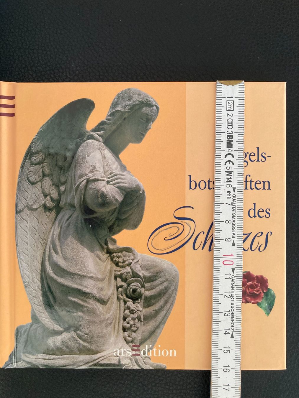 Libri: Engelsbotschaften des  Schutzes   gebundenes Buch – Usato da Subingen venduto da Etageren 7
