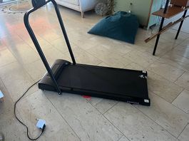 Laufbahn