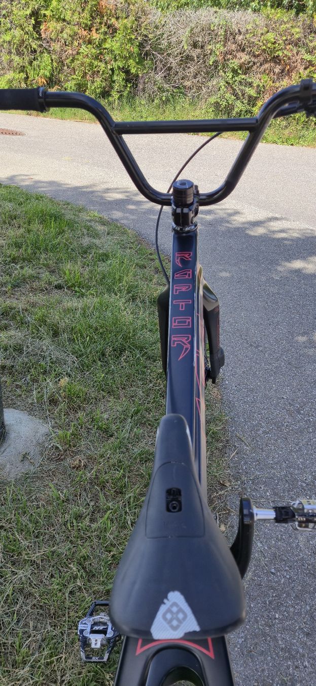 Biciclette: BMX race ice raptor taille pro  – Usato da Cheseaux-Lausanne venduto da stevo85 5