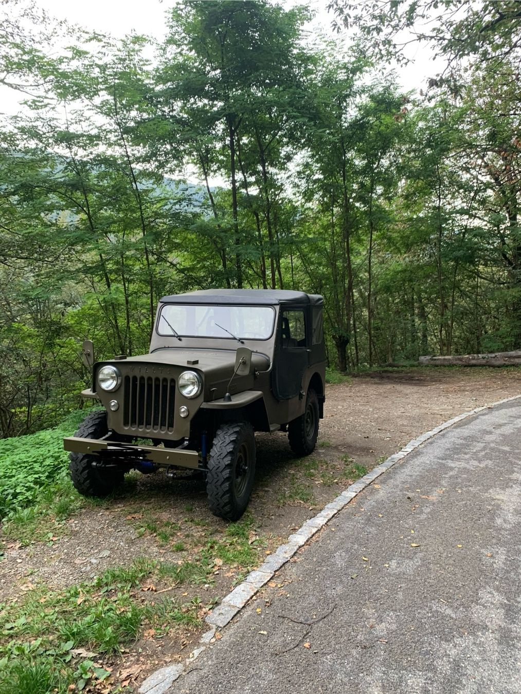 Jeep Automobili: Jeep Willys CJ3B - 6V – Usato da Lugaggia venduto da ego_872v 4