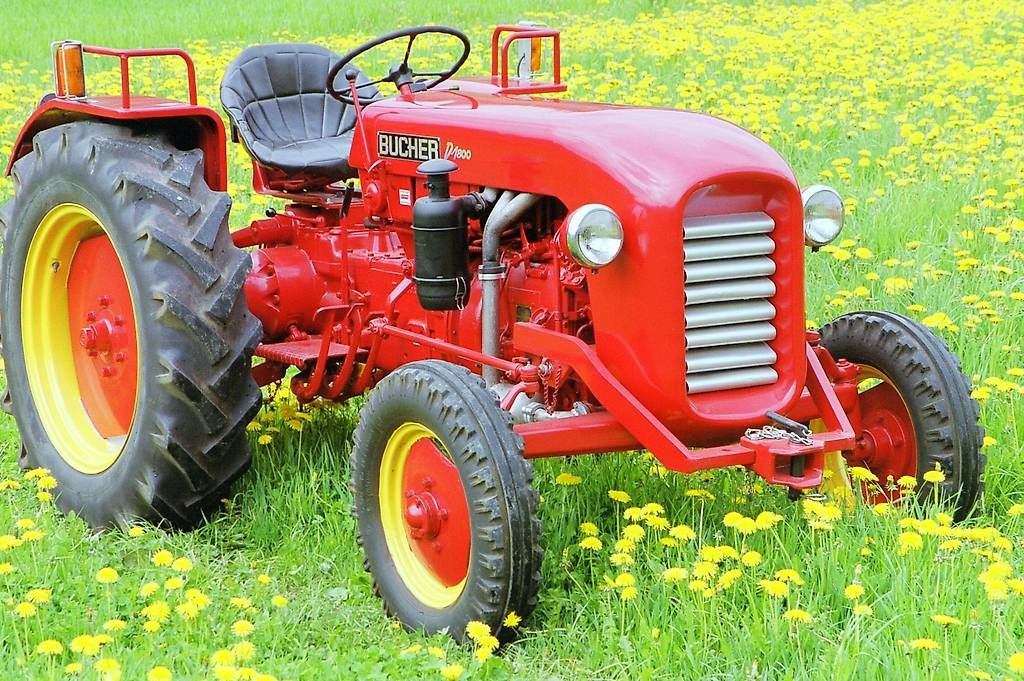 Trattori: Traktor Oldtimer Bucher D1800 mit neuer MFK – Usato da Birr venduto da kaffeeleuchten