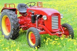 Traktor Oldtimer Bucher D1800 mit neuer MFK