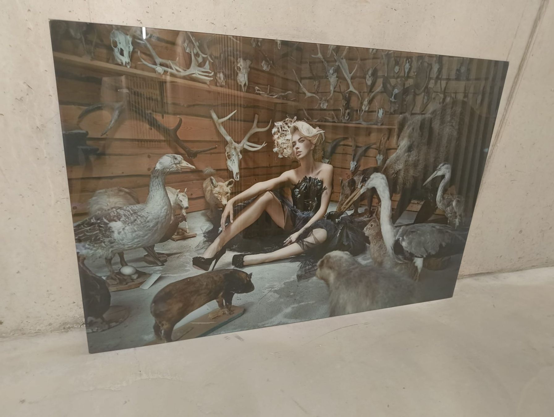Poster & Bilder: Kare Glasbild 100x150cm – Neu (gemäss Beschreibung) aus Sursee von michaelkelly 2