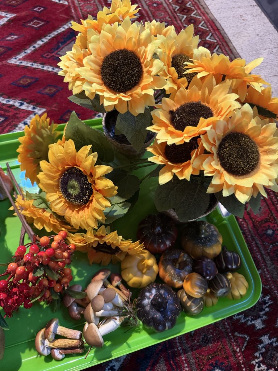 Tutte le decorazioni: Herbst Deko Set: 31-teilig!  – Usato da Pfäffikon ZH venduto da lenaviktoria 2