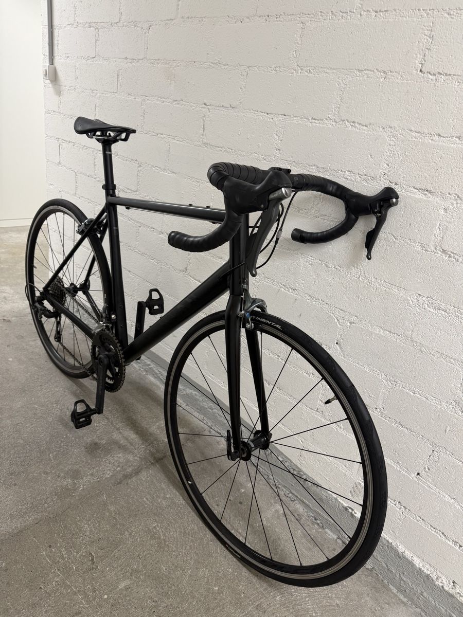 Canyon Biciclette: Rennrad Canyon Endurace AL 7.0 – Usato da Bern venduto da ice_9k97 3