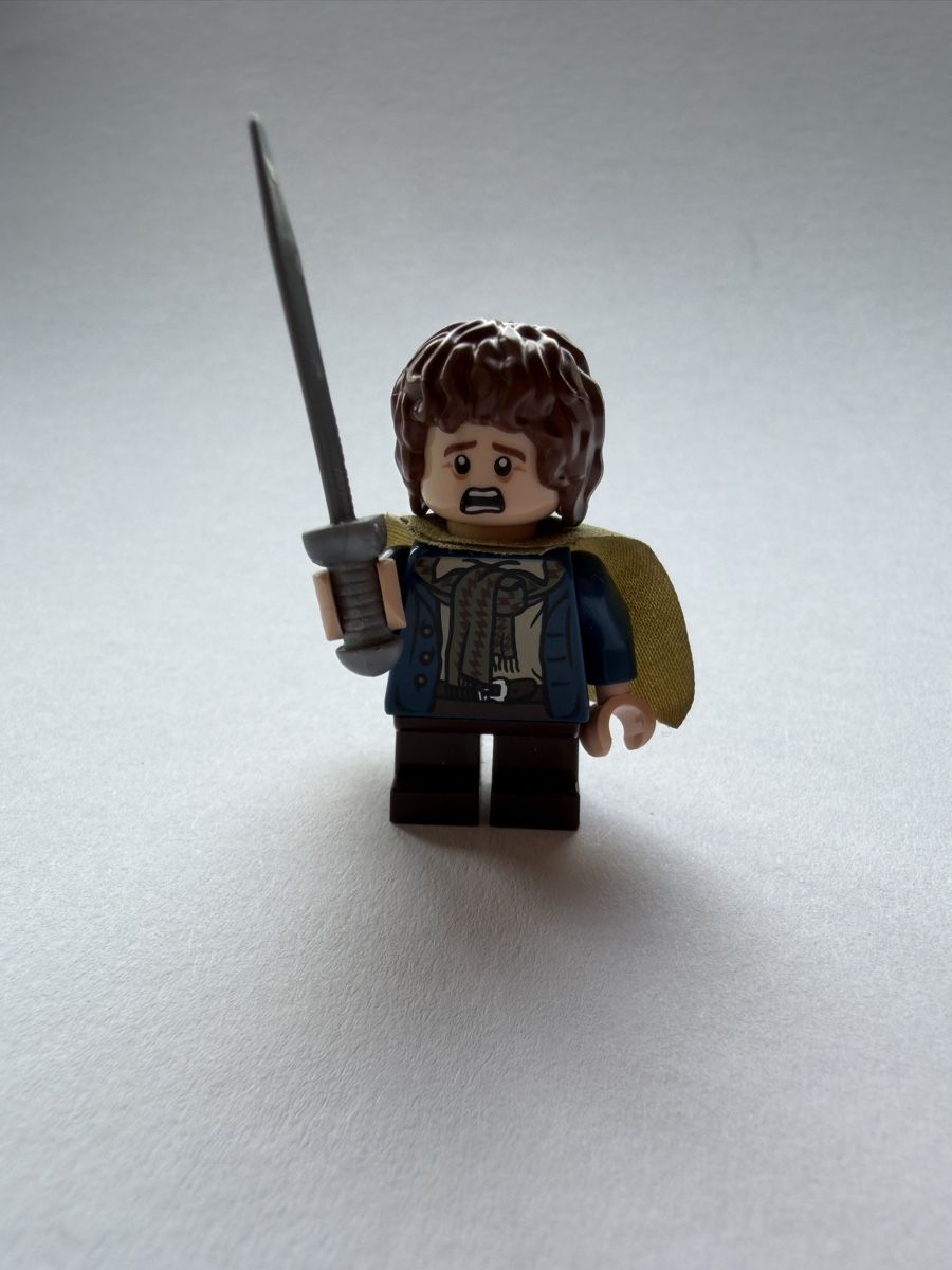 Lego Figuren: LEGO Herr der Ringe Pippin lor012 mit Schwert – Neu (gemäss Beschreibung) aus Beinwil am See von Tobi-Wied 2