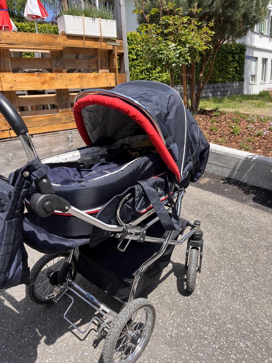 Carrozzine: Hesba Luxuskinderwagen – Usato da Oberägeri venduto da fam_k5sf