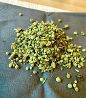 Origan frais séchée au soleil - oregano fresh sundried