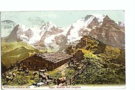 Beatenberg, Alphütte Kühe,  Eiger Mönch Jungfrau 1906