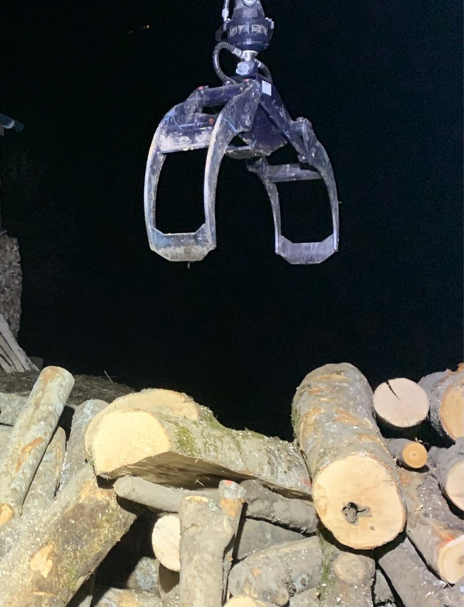 Pinze: Holzgreifer für Bagger – Usato da Schlans venduto da nAAtii 8
