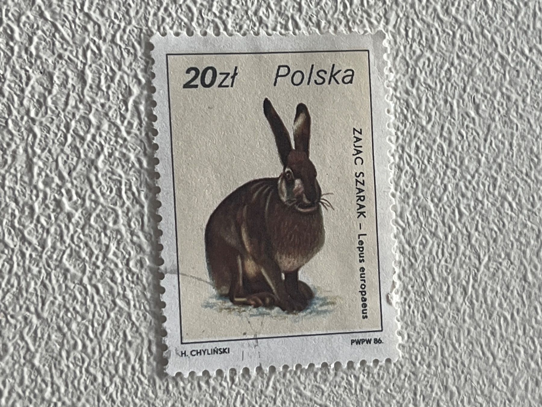 Tutti i francobolli: Polen Briefmarke – Usato da Chiasso venduto da AzenYa