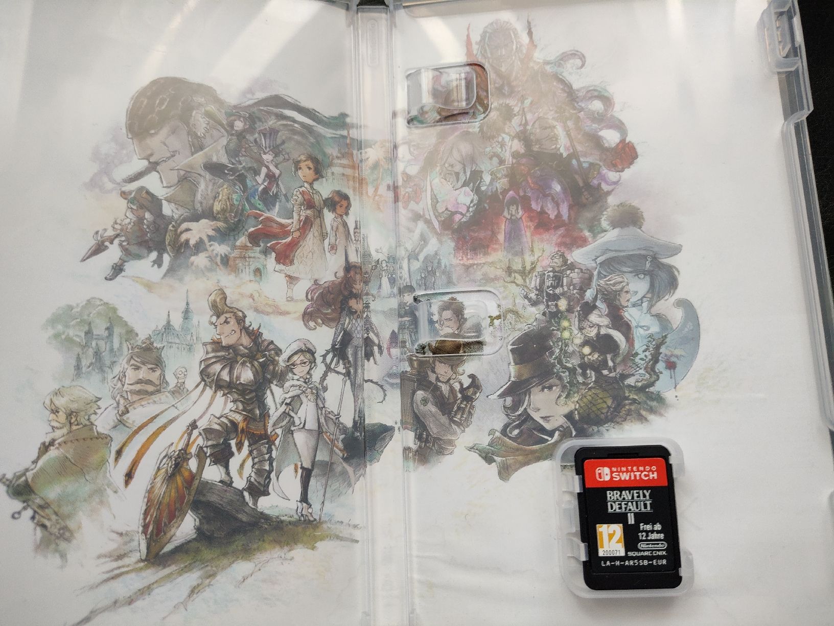 Nintendo Giochi: Bravely Default II - Nintendo Switch - – Usato da fribourg venduto da GameSpot 2