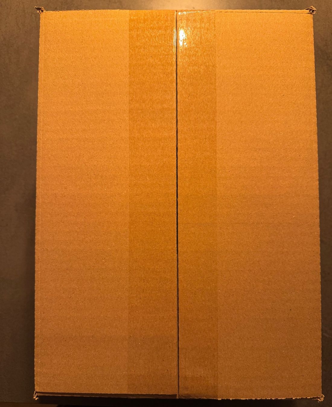 Pokémon Carte collezionabili: Prismatic Evolutions Tin Display Case Englisch – Nuovo e nell'imballaggio originale da Winterthur venduto da Fischinho 1