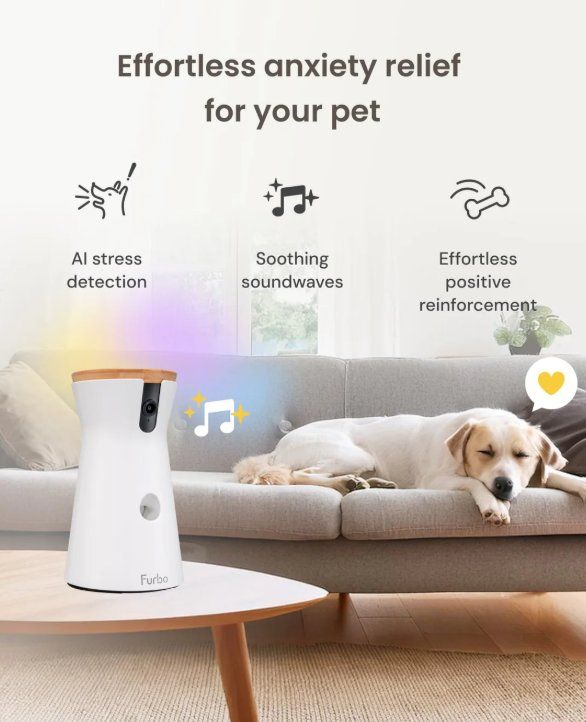 Caméscopes: Furbo 360° Hundekamera – D'occasion à Zürich par luk_2kqk 1