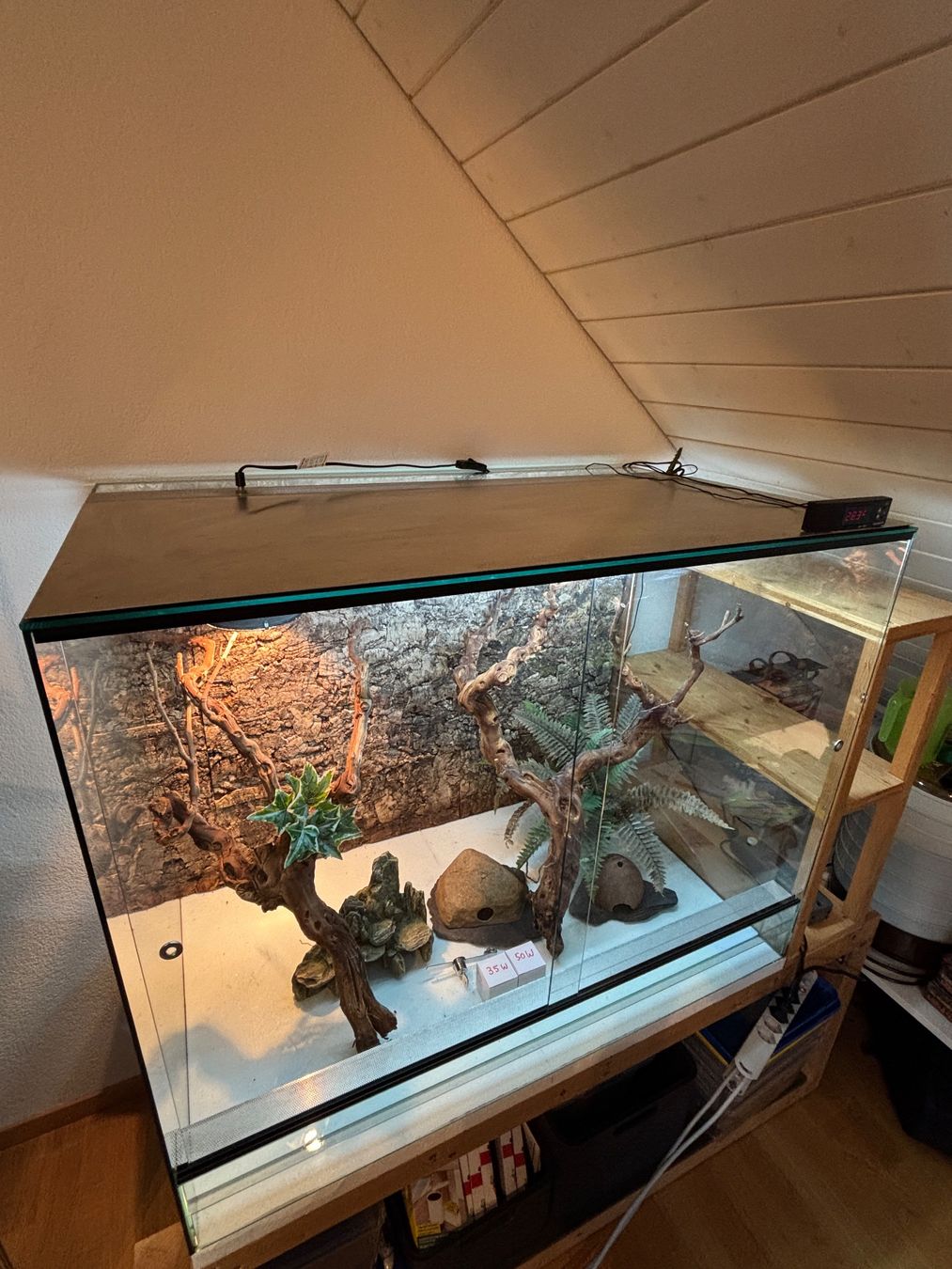 Terrarium: Glas Terrarium inklusive Zubehör – Gebraucht aus Lyss von klopferli9 4