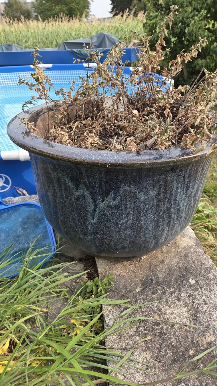 Blumentöpfe: 4 Töpfe für den Garten – Gebraucht aus Mellingen von Secost 1