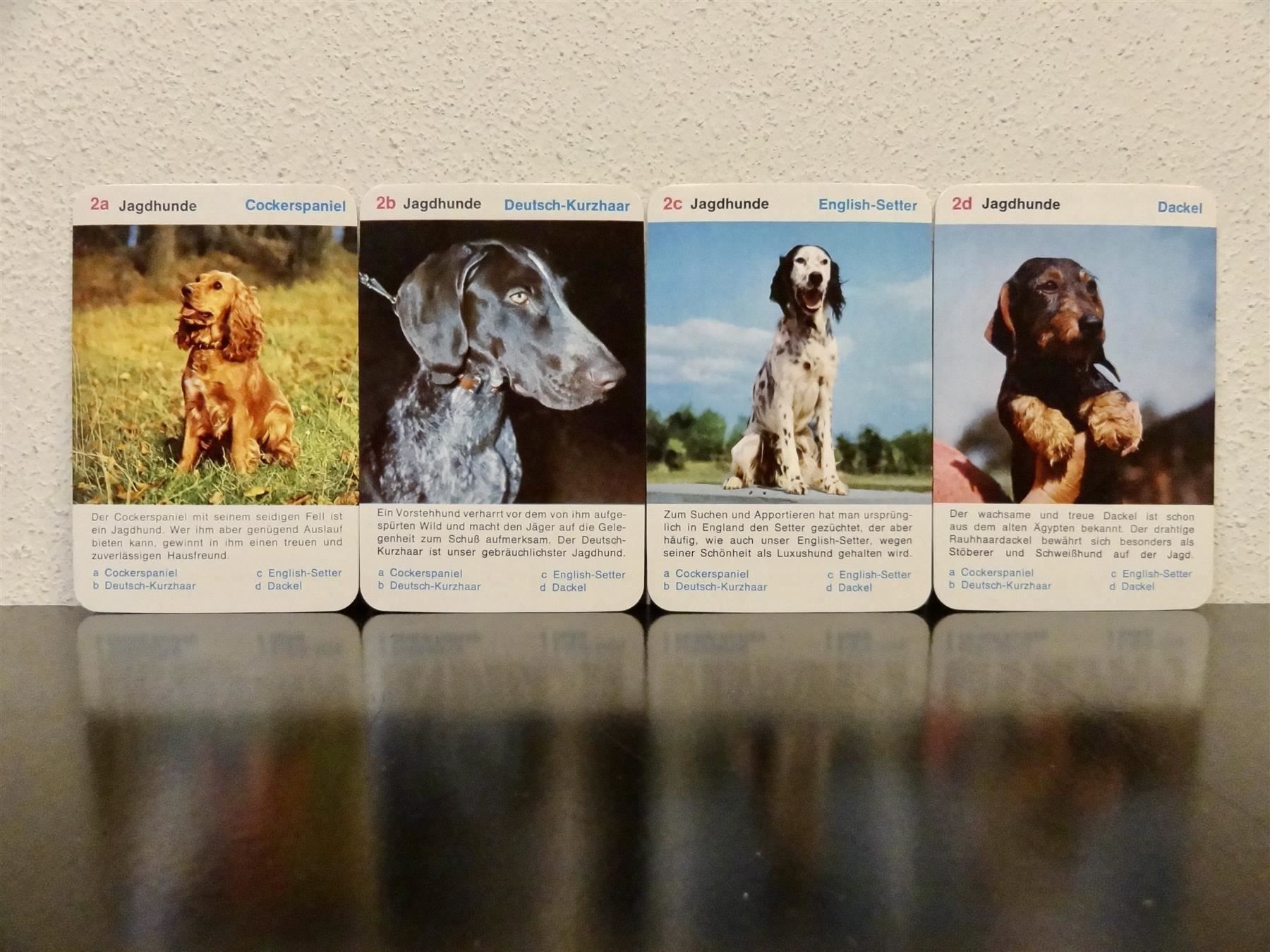 Spiele: altes Quartett TIER-QUARTETT HUNDE HUND – Gebraucht aus Kerzers von wisaundso 4