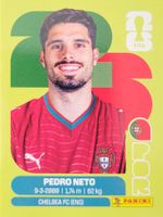 Panini FIFA World Cup POR 19
