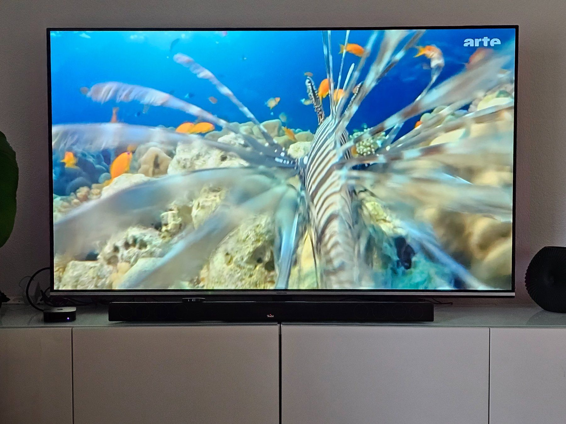 Fernseher: OLED Smart TV – Gebraucht aus Romanshorn von udo_ytq5 8