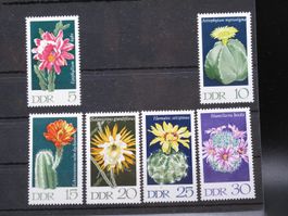 DDR 1970 Kakteeen I **