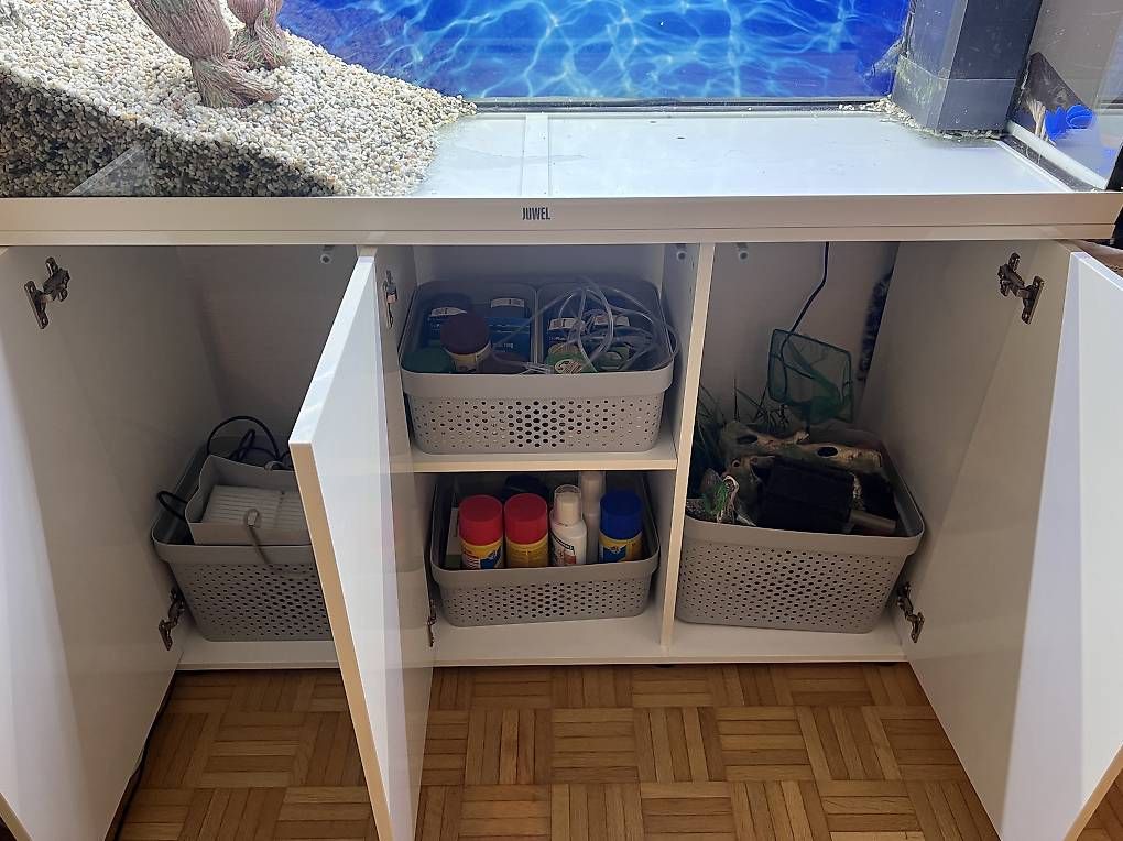Acquari: Aquarium – Usato da Wichtrach venduto da sefom 3