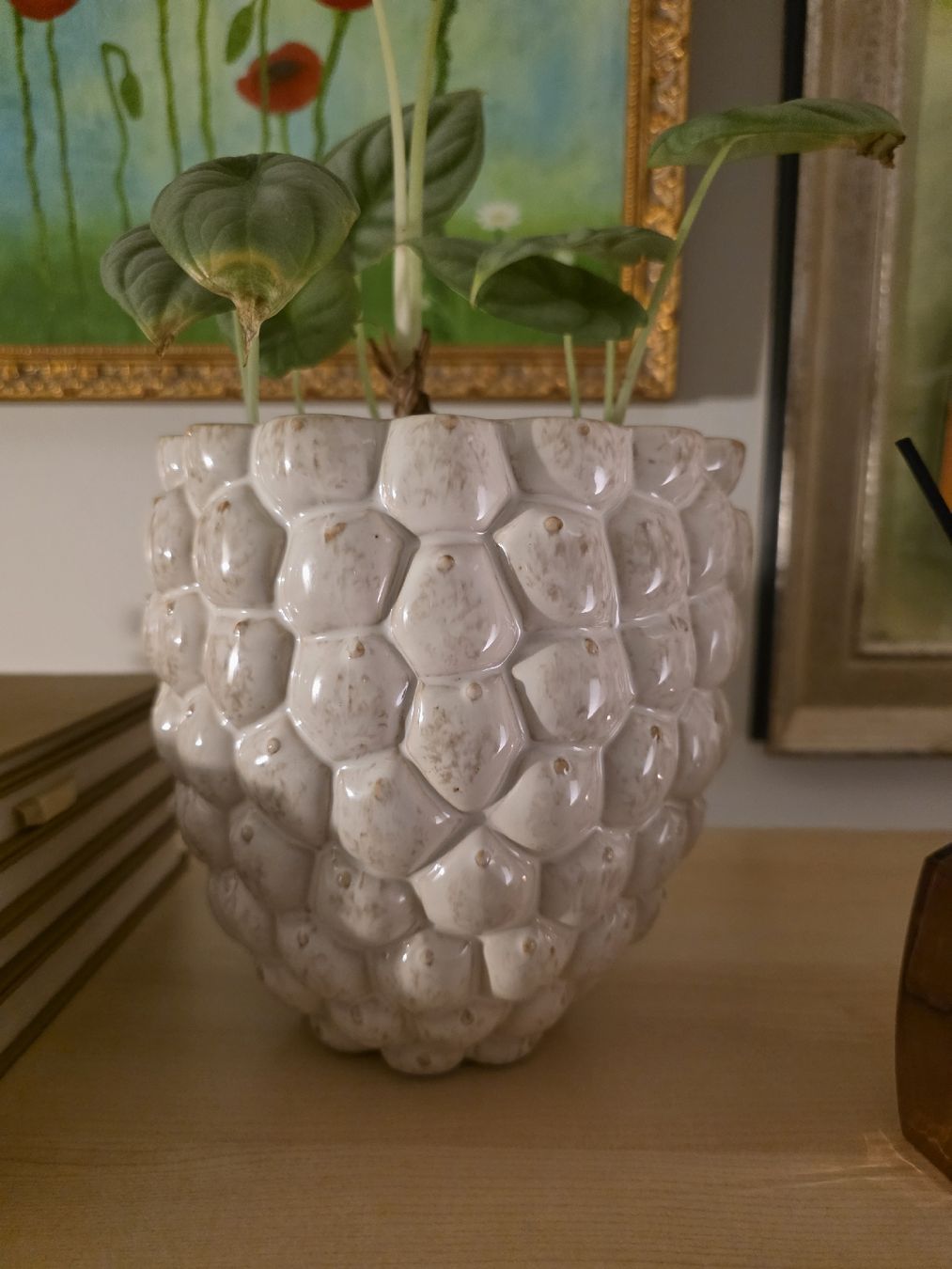Vasi & Recipienti: Beau Vase / joli cache-pot – Nuovo (secondo la descrizione) da Schlieren venduto da Hope_2026 1