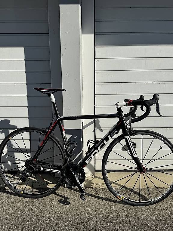 Biciclette: FOCUS Carbon Rennrad – Usato da Regensdorf venduto da arsenal1886