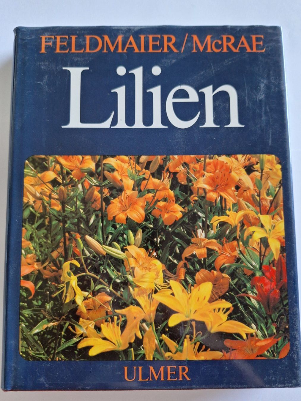 Libri: Lilien Buch, Feldmaier McRae Ulmer 1982 – Usato da Zürich venduto da t24_de