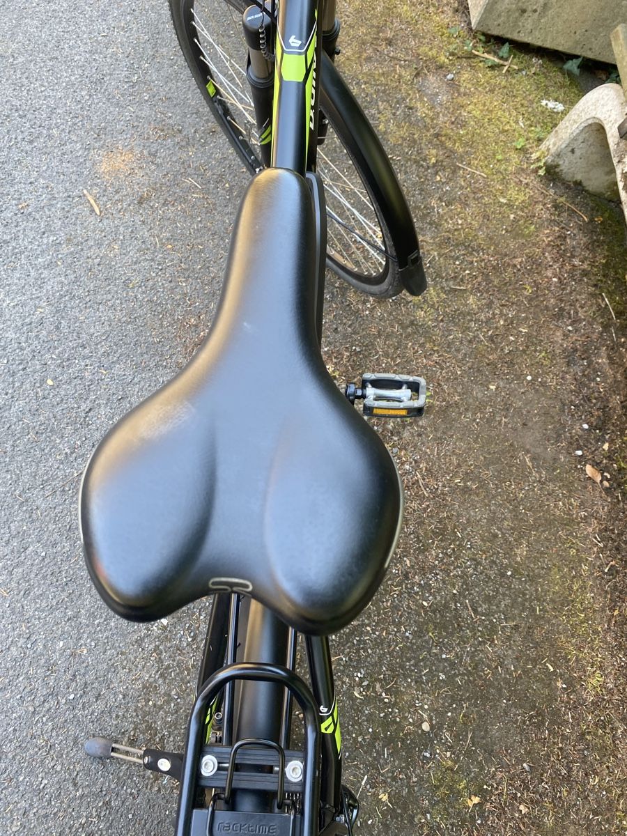 Bergamont Biciclette: BOSCH BERGAMONT E-Line – Usato da Luzern venduto da Goodmorning_16 5