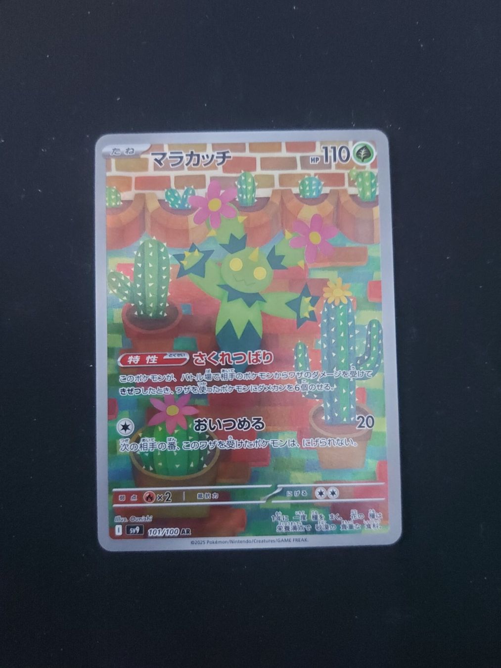 Pokémon Carte collezionabili: Maractus #101 sv9 Battle Partners  JAP – Usato da Biasca venduto da Sara_Poke123