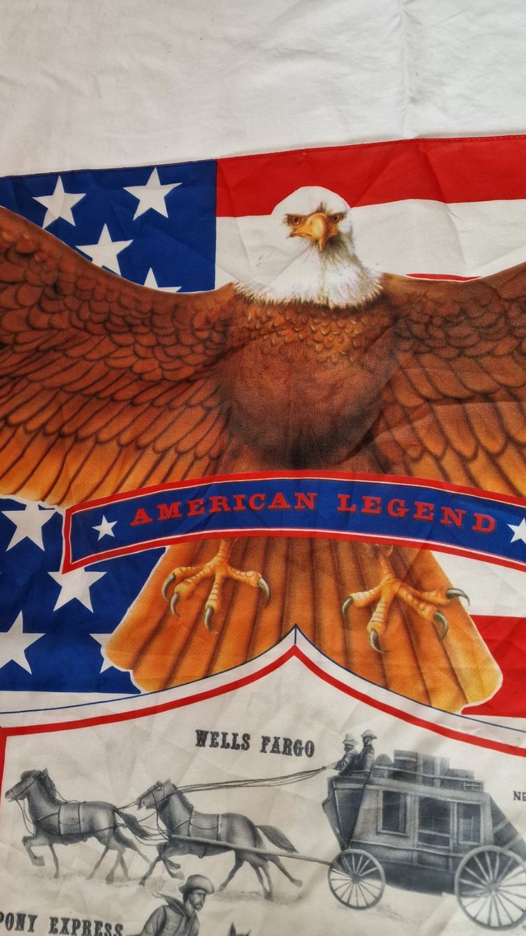 Bandiere: 2 Fahnen USA mit Adler – Usato da Uitikon Waldegg venduto da Smeragol 6