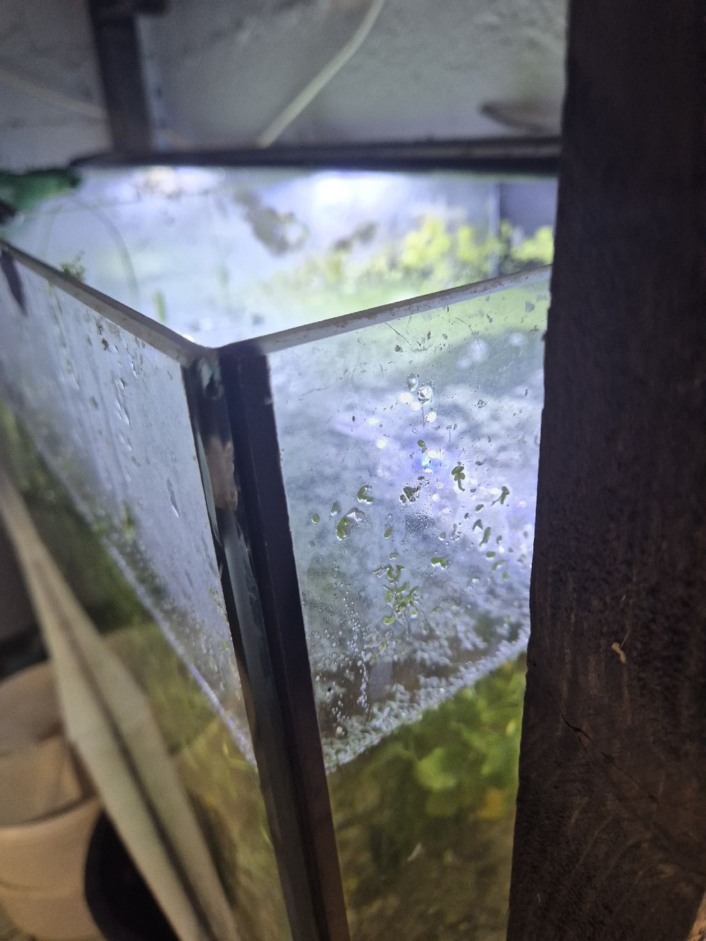 Aquarium: Aquarium 100x40x40 – Gebraucht aus Aegerten von Herbst_ 1