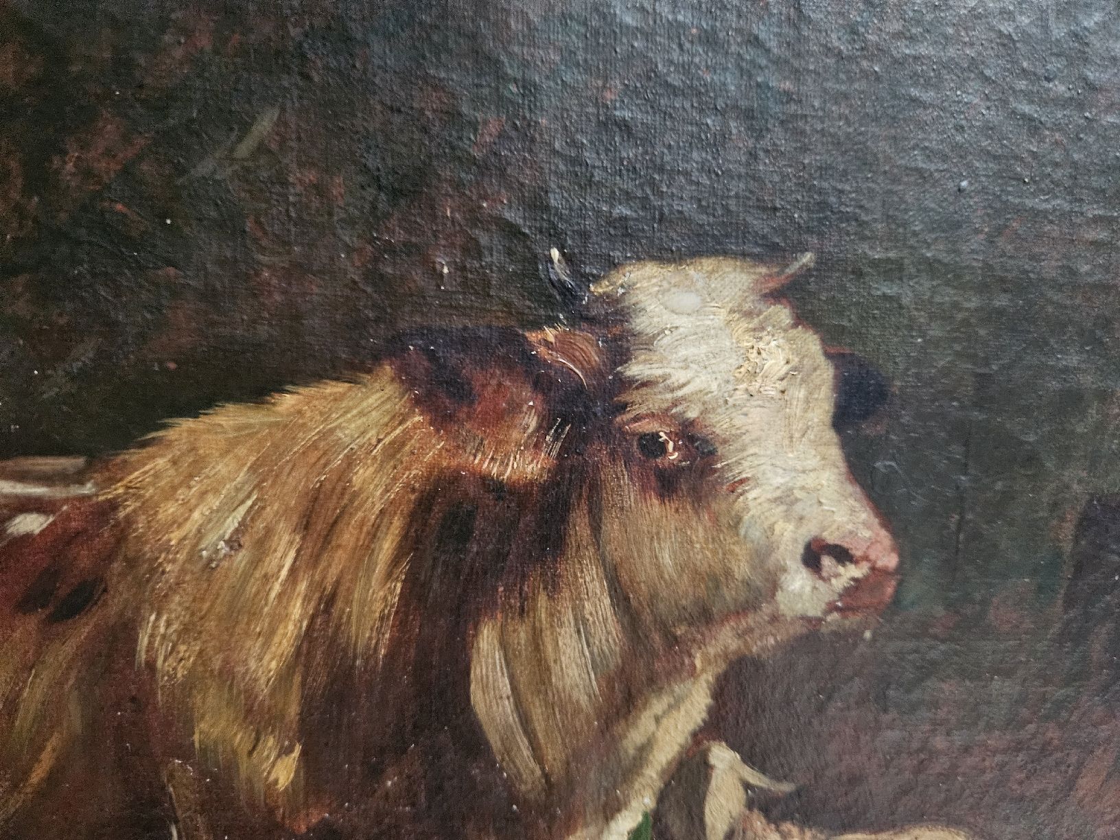 Tableaux: gemälde kuh antik – D'occasion à Schwellbrunn par Gottesnipper 1