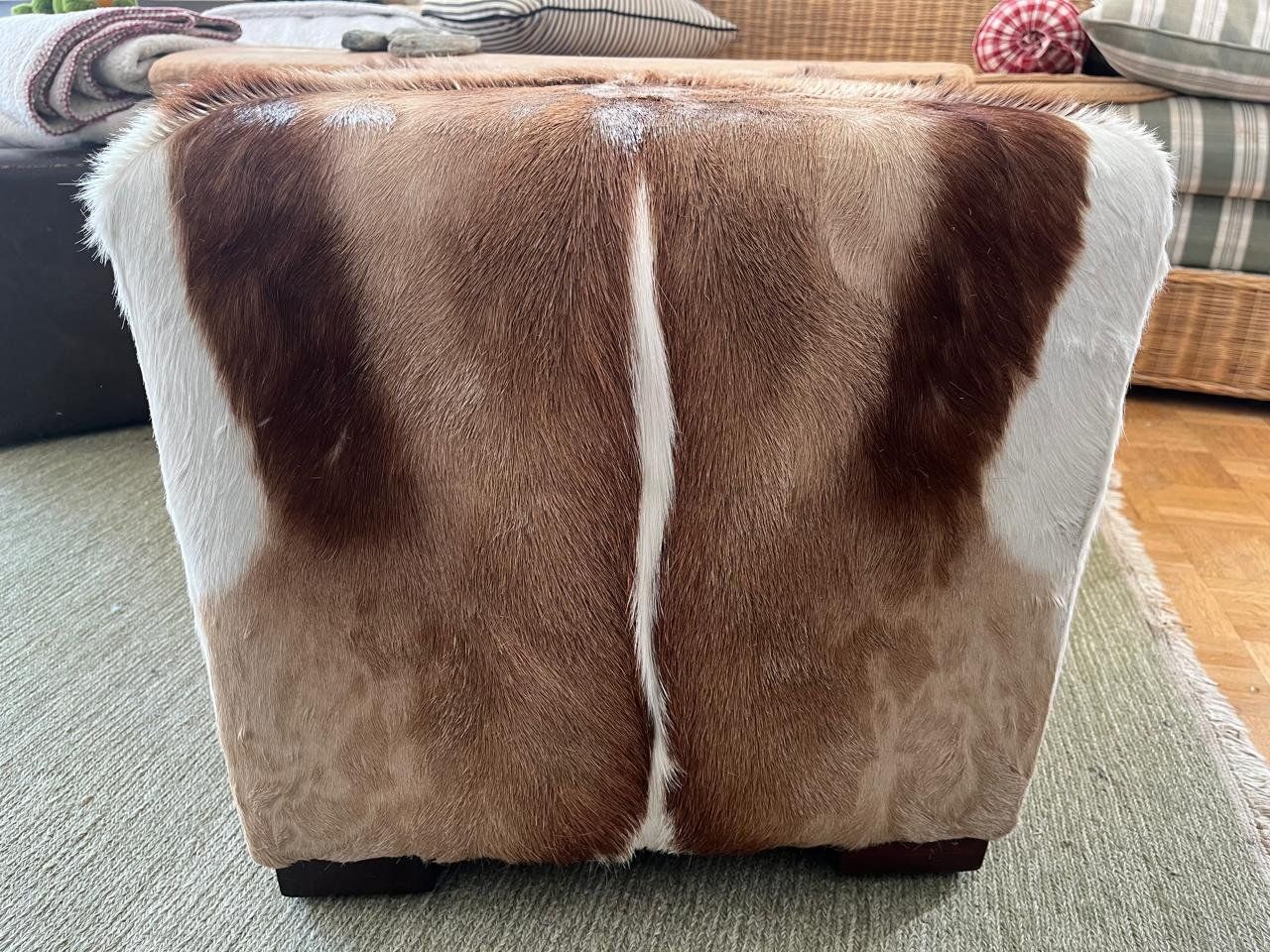 Sgabelli: SPRINGBOCK Hocker Cube unbenutzt NP 800 EUR – Usato da Eschen venduto da evi_8xrh 3