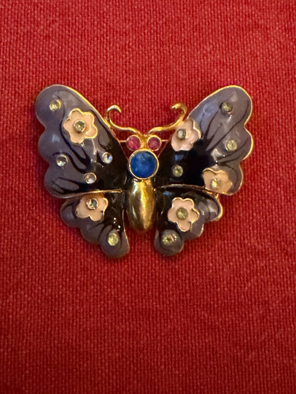Broches & Aiguilles: Broche Papillon – Neuf (Voir description) à Nyon par ABMG1260