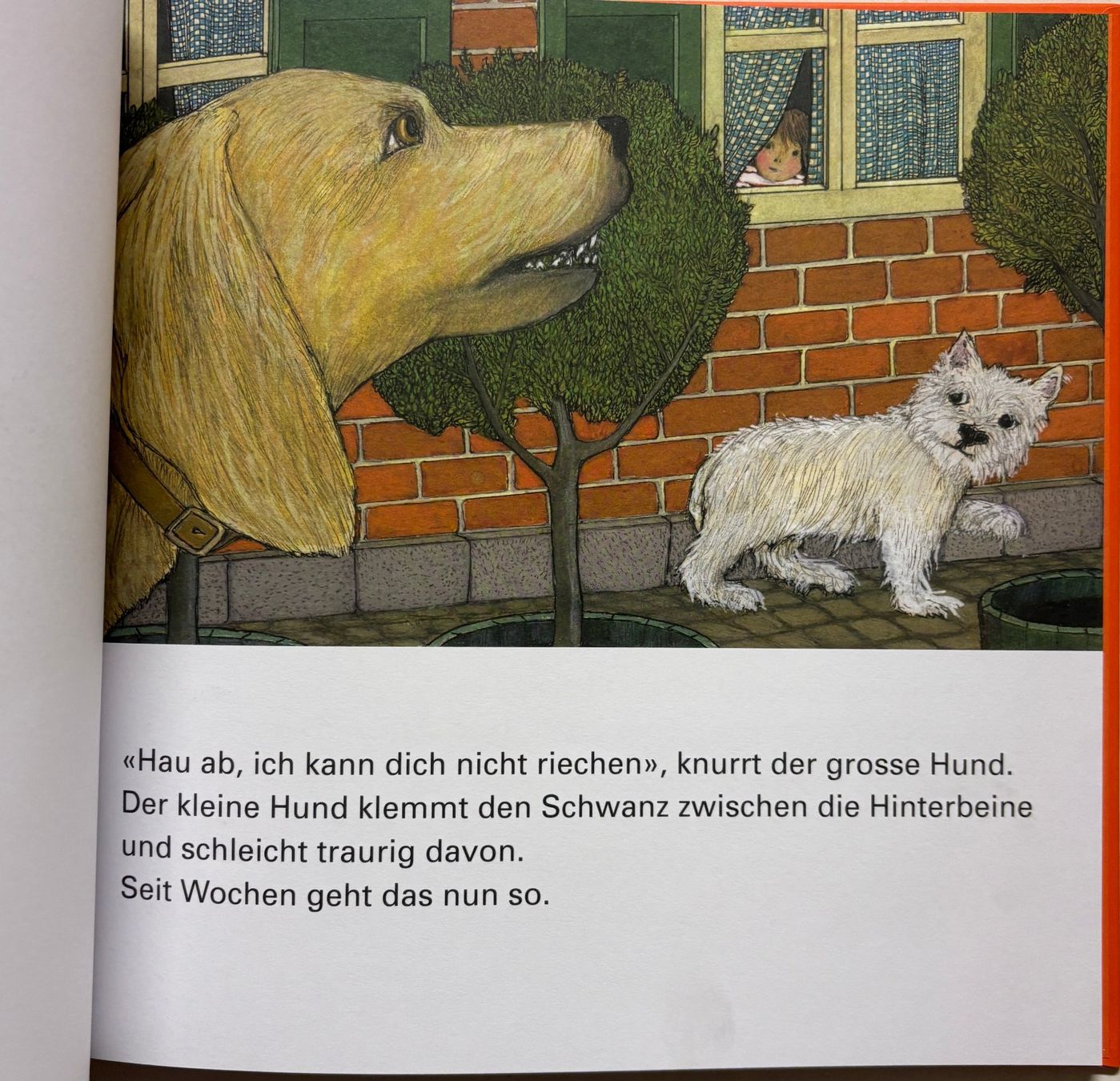 Libri: Leist Esther, Hau ab – Nuovo (secondo la descrizione) da Sarnen venduto da Livres 2