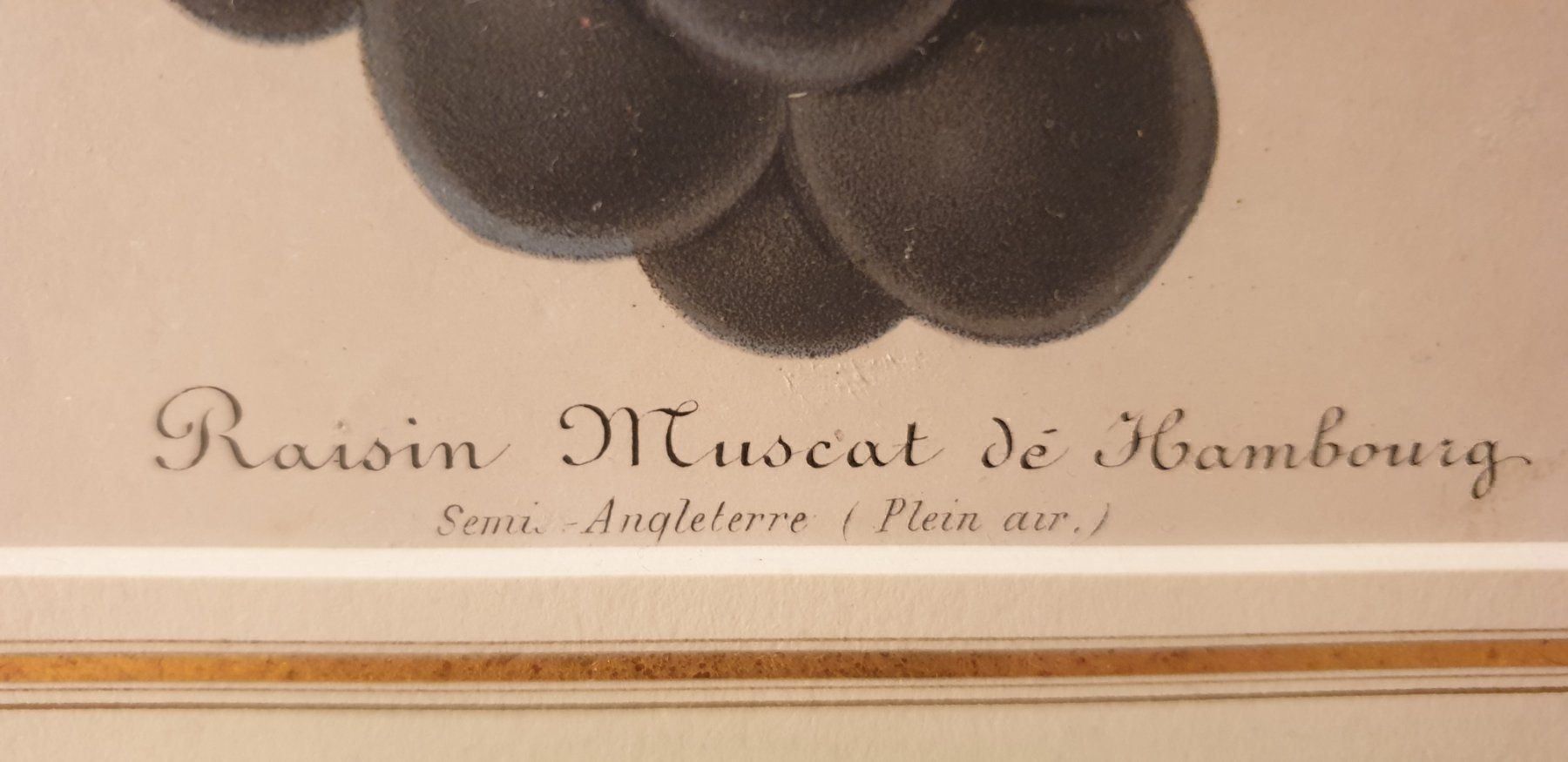 Incisioni: Stich  um 1860 – Usato da Winterthur venduto da han_m89f 5