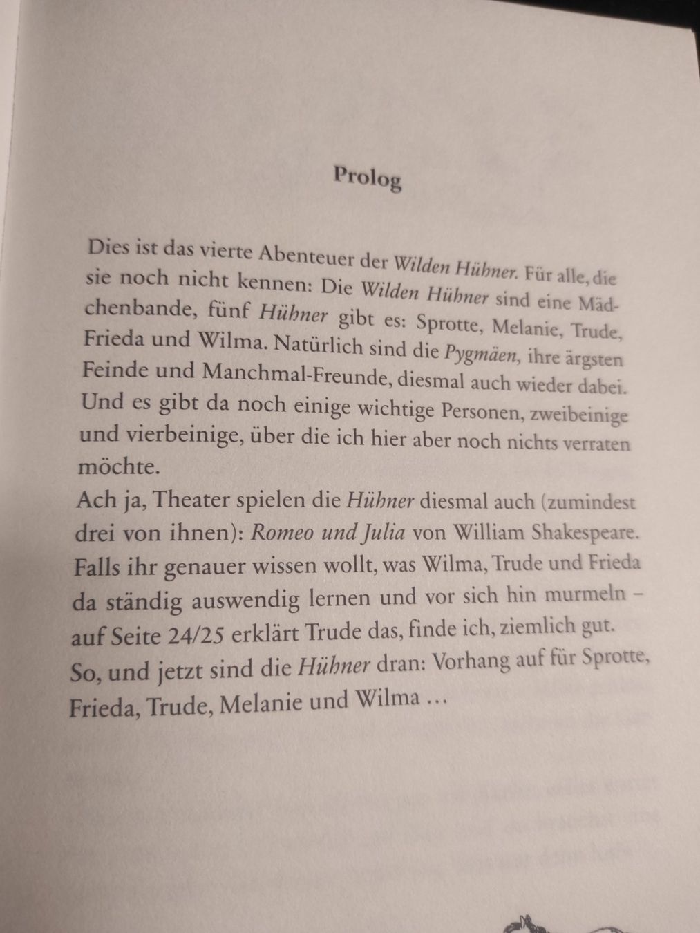 Libri: Die Wilden Hühner – Usato da Burgdorf venduto da Ropajesi 1