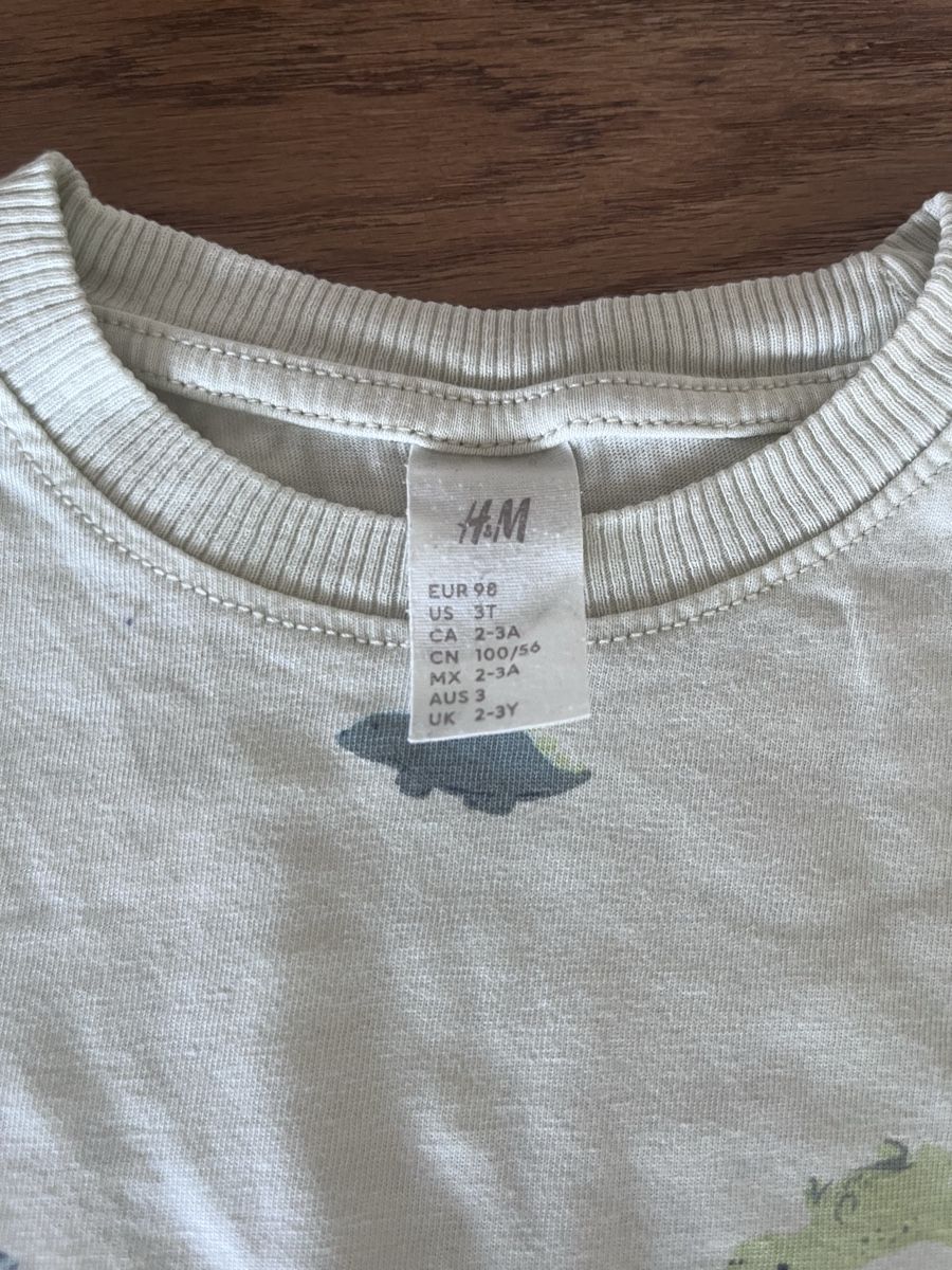 H&M Hemden, T-Shirts & Polos: H&M Dino Tshirt Gr. 98 – Gebraucht aus Zollikerberg von LLV 2