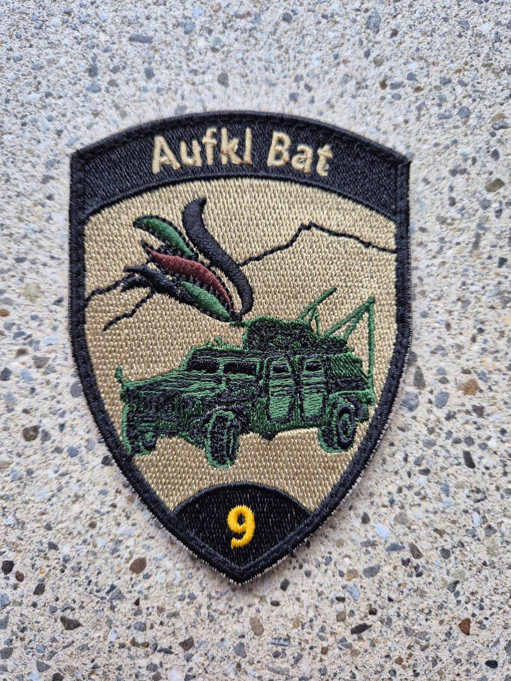 Schweizer Armee Placchette & Badge: *** Badge Aufklärer Bat 9 mit klett *** – Usato da Riedholz venduto da fr_sIruP
