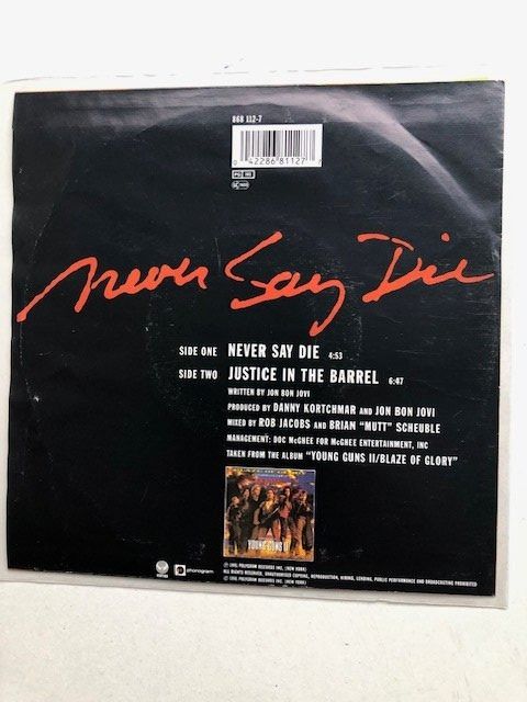 Dischi in vinile: Bon Jovi – Usato da Aarwangen venduto da Jukebox3 1