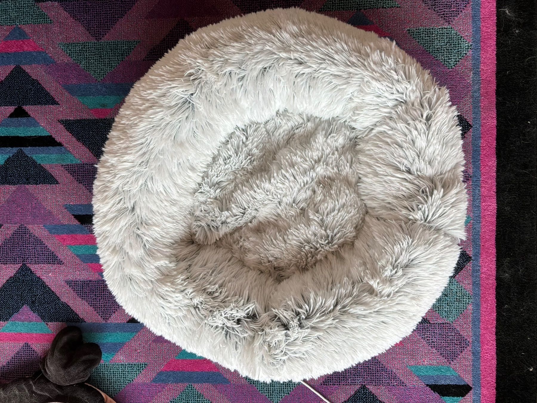 Cucce & Letti: Lit confortable Trixie Harvey – Nuovo (secondo la descrizione) da Sion venduto da gege08 2