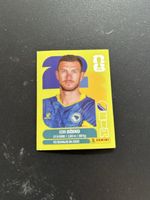 Panini BIH 18
