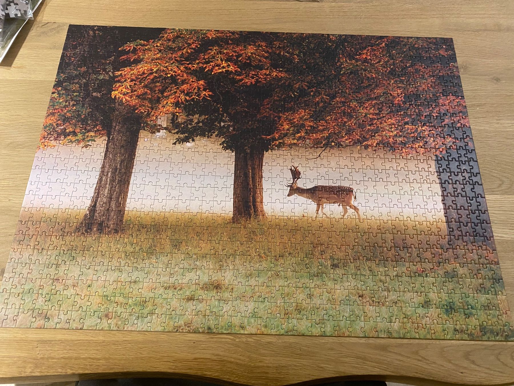 Puzzles: Puzzle Photgraphers Collection 3x 1000 – Gebraucht aus Laupersdorf von eliza23 3