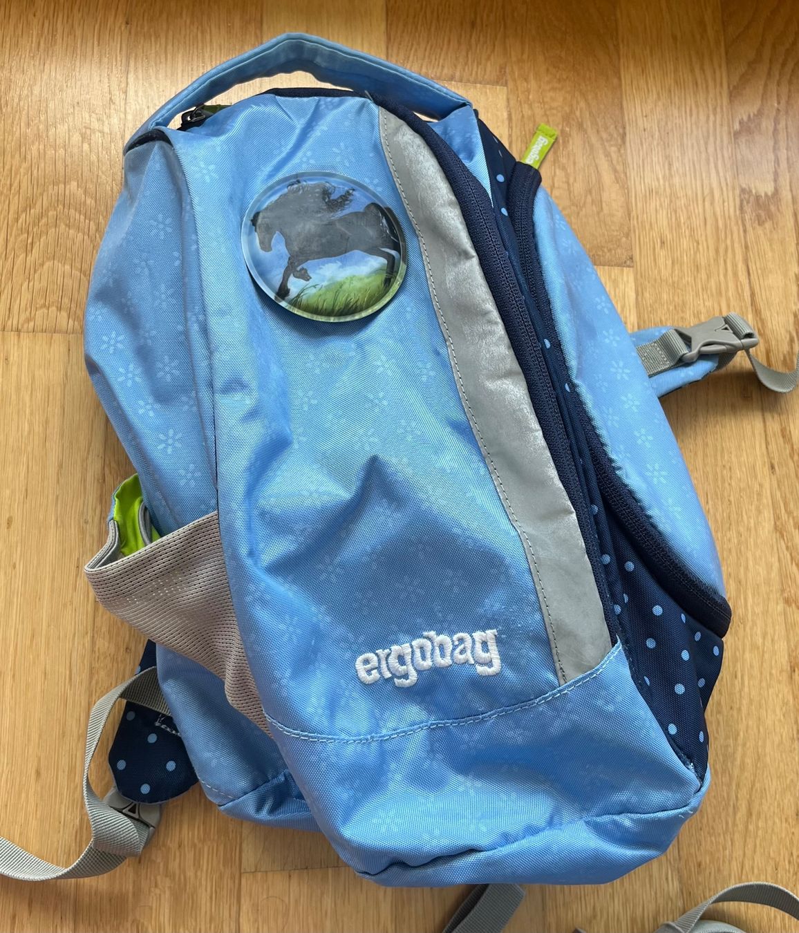 Ergobag Borse & Zaini: Ergobag-Set – Usato da St.Gallen venduto da SosoGut 4